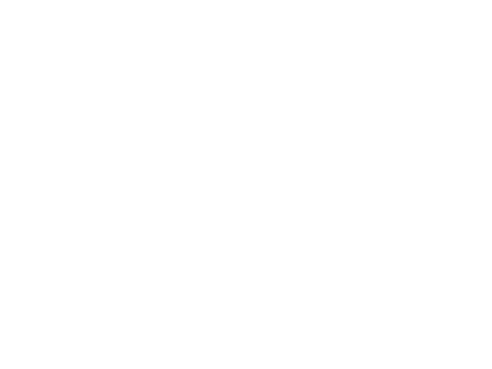 Wolf Markets Logo